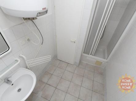 b4961aa18f0d241e2174896c107ce3a5.jpg | Pronájem bytu, 1+kk, 29 m²