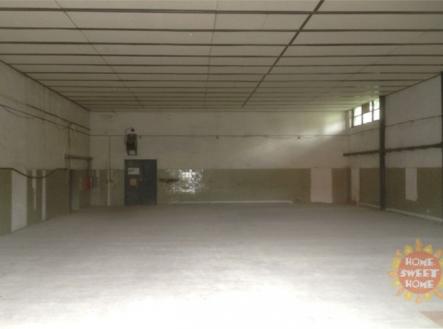 Pronájem - skladovací prostor, 272 m² obrázek