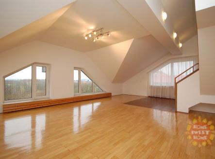 Pronájem bytu, 6+1, 293 m² obrázek