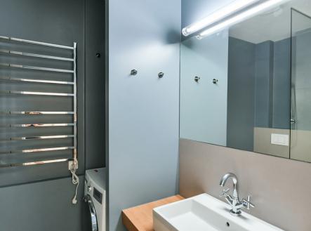 peg-2856-1.jpeg | Pronájem bytu, 1+kk, 30 m²