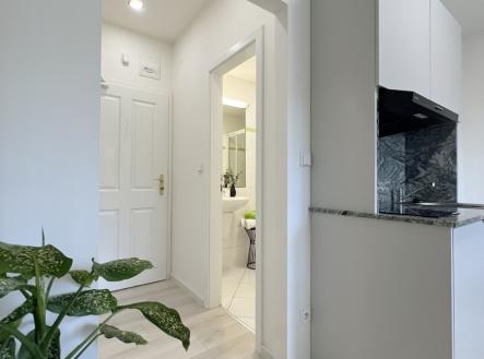 img-3919.jpg | Pronájem bytu, 1+kk, 18 m²