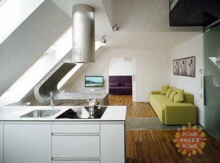 07d889f443896313179448af4a1b7883.jpg | Pronájem bytu, 3+kk, 108 m²