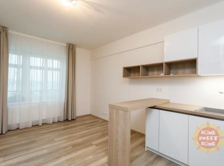 45b5b04cb74cb122585ab4e68a179236.jpg | Pronájem bytu, 1+kk, 27 m²