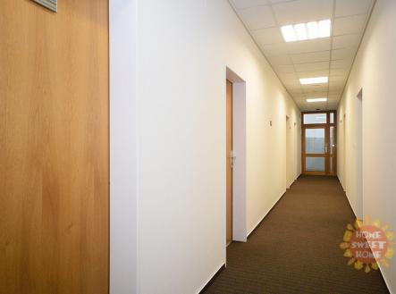 a69b964b882d5c29c4d52b4a243dc488.jpg | Pronájem - kanceláře, 23 m²