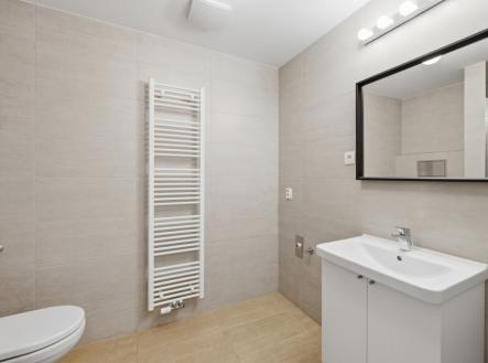 004.jpg | Pronájem bytu, 1+kk, 40 m²