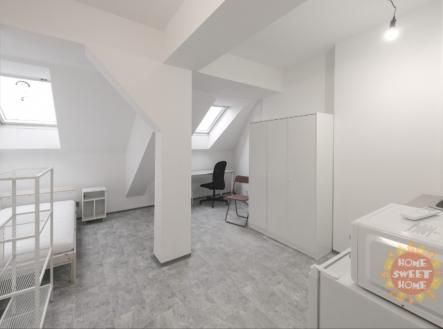 43B | Pronájem bytu, jiný, 14 m²