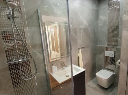 20210817-184442-resized.jpg | Pronájem bytu, 3+kk, 72 m²