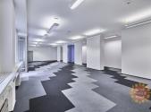 Pronájem - kanceláře, 246 m²