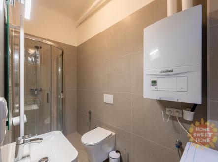 006.jpg | Pronájem bytu, 1+1, 41 m²