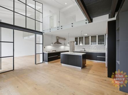 009.jpg | Pronájem bytu, 6+1, 324 m²