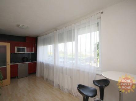 3.jpg | Pronájem bytu, 1+kk, 43 m²