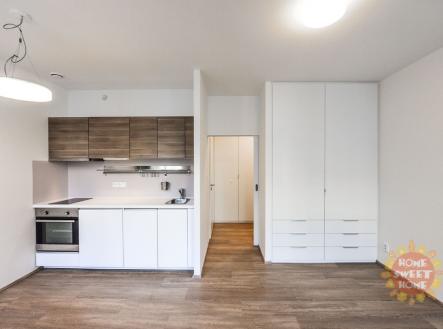 peg-0162.jpg | Pronájem bytu, 1+kk, 30 m²
