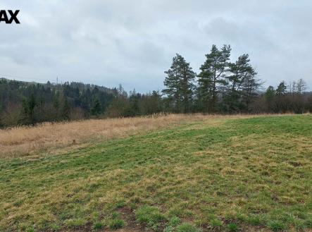 20250331-105820.jpg | Prodej - pozemek pro bydlení, 6 002 m²