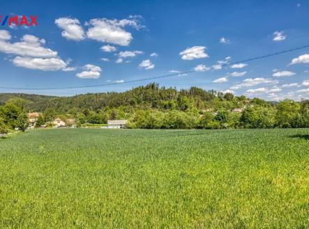 Pohled na pozemek | Prodej - pozemek pro bydlení, 10 500 m²