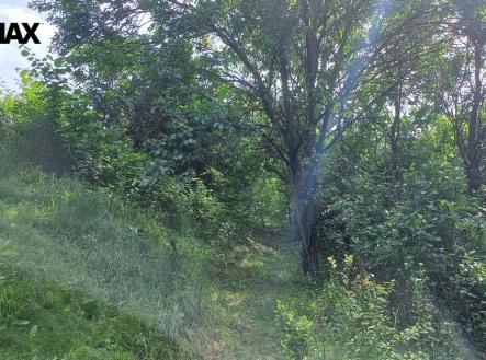 20240614-105842.jpg | Prodej - pozemek, zahrada, 1 853 m²