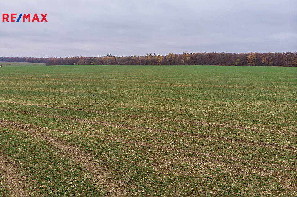 pozemek-horomerice-10.jpg