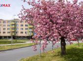 Prodej bytu, 3+1, 73 m²