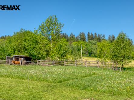 svkaterina-12.jpg | Prodej - pozemek pro bydlení, 4 000 m²