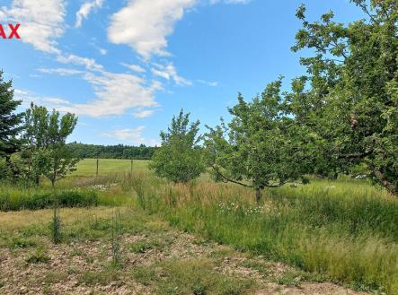 20250526-163104.jpg | Prodej - pozemek pro bydlení, 968 m²