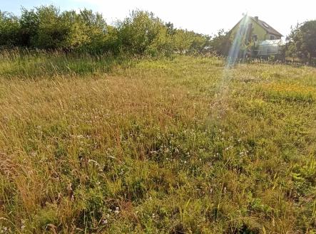 Prodej - pozemek, zahrada, 730 m²