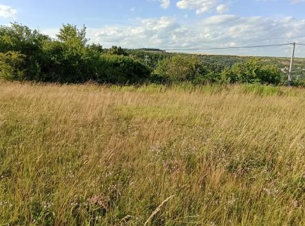 img-20250625-183119.jpg | Prodej - pozemek, zahrada, 730 m²