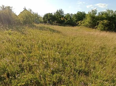 img-20250625-183117.jpg | Prodej - pozemek, zahrada, 730 m²