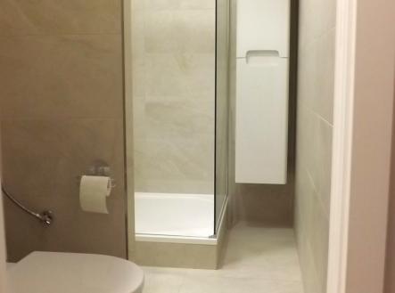 dscf0003.jpg | Pronájem bytu, 2+1, 56 m²