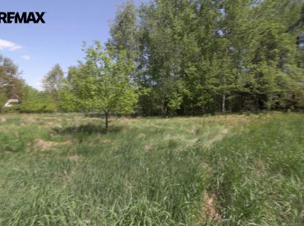 rovinatý pozemek pro další stavbu | Prodej - pozemek pro bydlení, 3 346 m²