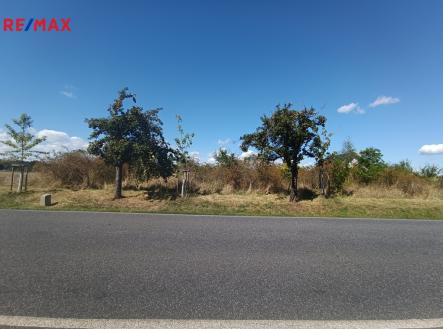 1000046245.jpg | Prodej - pozemek pro bydlení, 4 554 m²