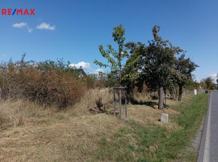 1000046243.jpg | Prodej - pozemek pro bydlení, 4 554 m²