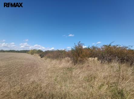 1000046240.jpg | Prodej - pozemek pro bydlení, 4 554 m²