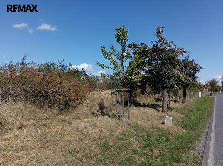 1000046243.jpg | Prodej - pozemek pro bydlení, 4 554 m²