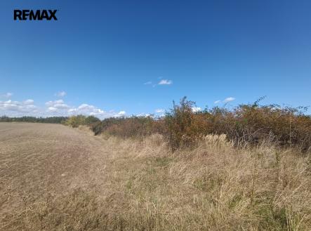 1000046240.jpg | Prodej - pozemek pro bydlení, 4 554 m²