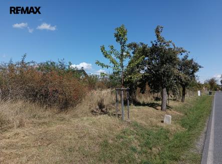 1000046243.jpg | Prodej - pozemek pro bydlení, 4 554 m²