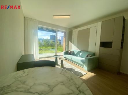 unnamed-13.jpg | Pronájem bytu, 1+kk, 31 m²