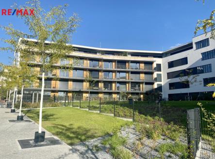 unnamed.jpg | Pronájem bytu, 1+kk, 31 m²