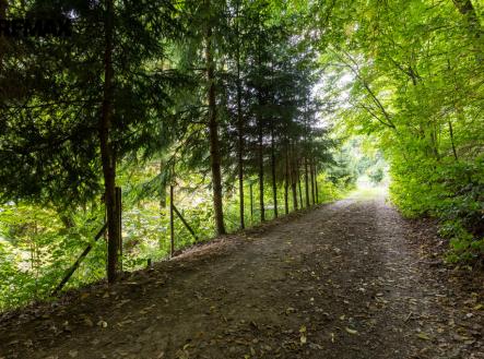 216a3964-hdr.jpg | Prodej - pozemek pro bydlení, 1 234 m²