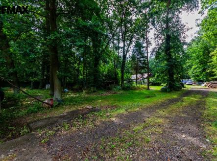 img-3642.jpg | Prodej - pozemek pro bydlení, 3 226 m²