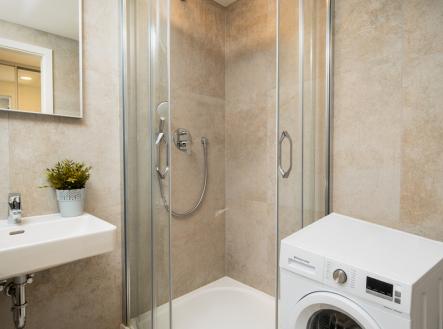 dsc03381.jpg | Pronájem bytu, 1+kk, 30 m²