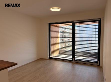 img-3063-converted.jpg | Pronájem bytu, 1+kk, 30 m²