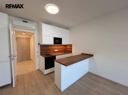 img-3070-converted.jpg | Pronájem bytu, 1+kk, 30 m²