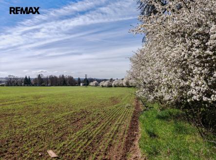 1000023672.jpg | Prodej - pozemek, zemědělská půda, 6 432 m²