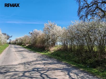 1000023676.jpg | Prodej - pozemek, zemědělská půda, 6 432 m²