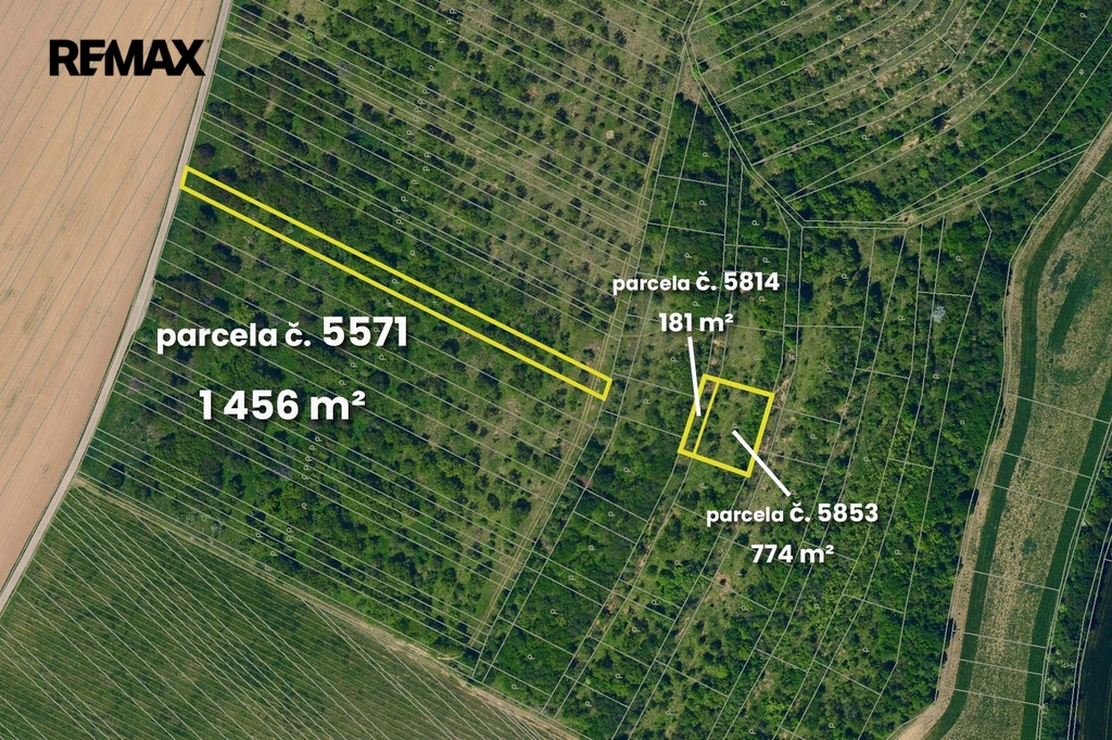 5571-5814-5853.jpg