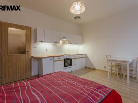 vlhka-11.jpg | Pronájem bytu, 1+kk, 27 m²