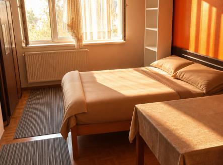 tabor-1.jpg | Prodej bytu, 1+kk, 29 m²