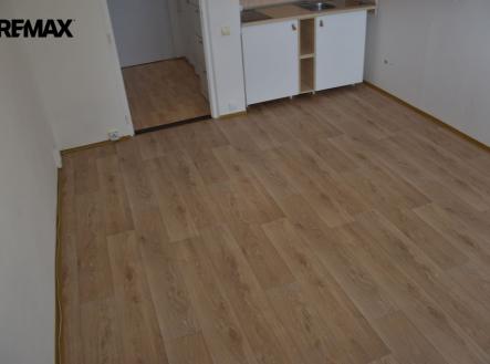 dsc-0551.jpg | Pronájem bytu, 1+kk, 24 m²