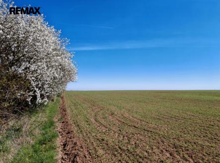 img-20260409-113200.jpg | Prodej - pozemek, zemědělská půda, 29 272 m²