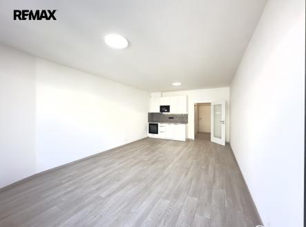 img-4464.jpg | Pronájem bytu, 1+kk, 41 m²