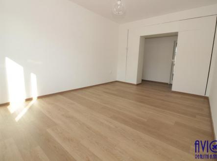 fotografie | Pronájem bytu, 3+1, 70 m²